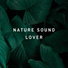 Elements of Nature
