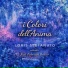 Loris Stefanuto