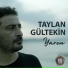 Taylan Gültekin
