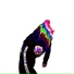 aabsolute
