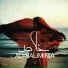 Ali Saliminia