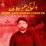 Syed Raza Abbas Shah