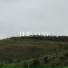 Lwy
