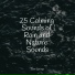 Binaural Beats, ambiente, Forest Soundscapes