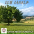Cem Cansız