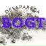 bogt