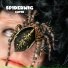 SPIDERWIG