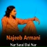 Najeeb Armani