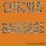 Checked Baggage