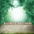 Hussain Aseer