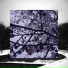 DarkFlower
