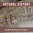 Guided Meditation Project