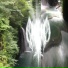 sightlykeelap, qiw1