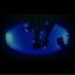 KILL EASTWOOD