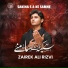 Zairek Ali Rizvi