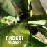 Nadesi