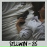 Sellwin