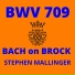 Stephen Mallinger
