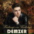 Demzer