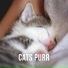 Relaxing White Noise Sounds