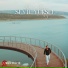 Seyit Yüksel