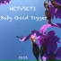 NETVSETI