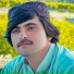 Gull Mashoom Official