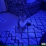 VladZVR