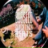 Bugseed