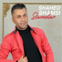 Shahed Shamsi