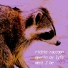 Richie Raccoon