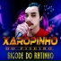 Xaropinho Do Piseiro