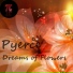 Pyerce