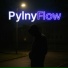PylnyFlow
