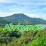 Alvinmos