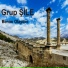 Grup Şile