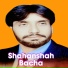 Shahanshah Bacha, Wagma