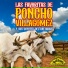 Poncho Villagomez y sus coyotes del rio Bravo