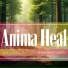 Anima Heal