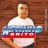 netinho brito