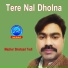 Mazhar Shahzad Tedi