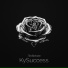 KySuccess