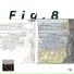 Antic Mass, Fig.8