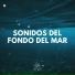 Sonidos del Mar