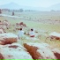 Luca Delphi, There Is a Fox