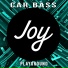 Car Bass