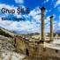 Grup Şile