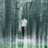 СК17