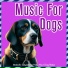 Relax My Dog, Dog Music Therapy
