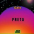 Gaio